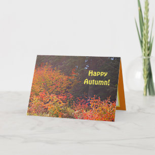 Happy Autumn Card, Pretty Fall Trees Greeting Card