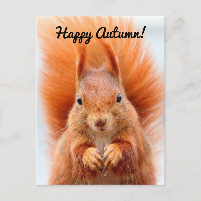 Happy Autumn Squirrel Postcard (Front)