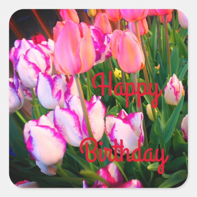 Happy Bday Tulips Peace Flame & Affaire #2 Square Sticker (Front)