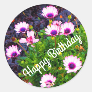 Happy Bday White & Purple African Daisy#1 Stickers