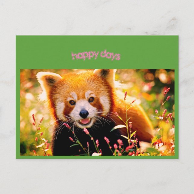 happy bear postcard (Front)