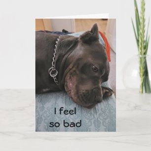 HAPPY BELATED BIRTHDAY - FEEL SO GUILTY CARD