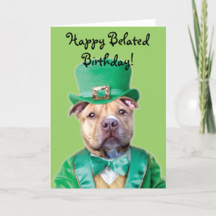 Happy Belated Birthday Irish Pitbull  card