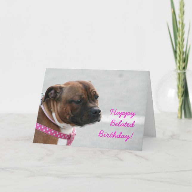 Happy Belated Birthday staffordshire terrier  card (Front)