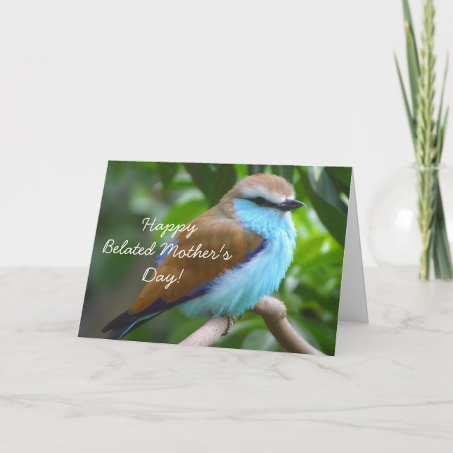 Happy Belated Mother's Day Beautiful bird card (Front)