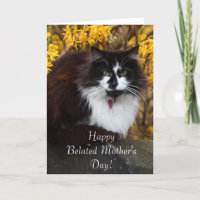 Happy Belated Mother's Day Cat greeting card