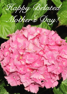 Image result for happy belated mothers day images