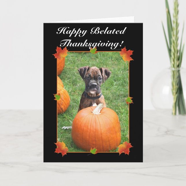 Happy Belated Thanksgiving boxer puppy card (Front)