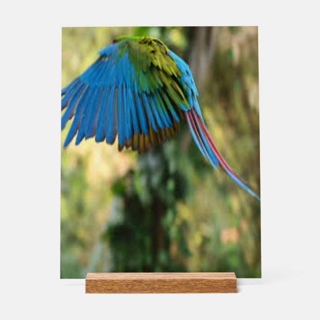 happy bird acrylic sign (Front)