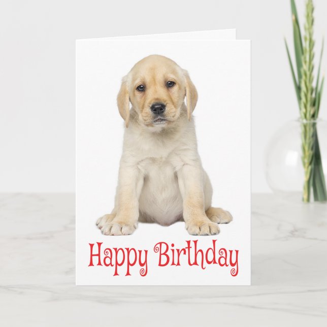 Happy Birthda Yellow Labrador Retriever Puppy Dog Card (Front)
