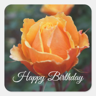Happy Birthday About Face Rose #1 Stickers