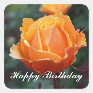 Happy Birthday About Face Rose #1 Stickers