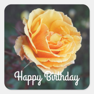 Happy Birthday About Face Rose #3 Stickers