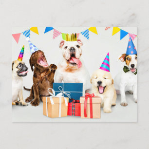Happy Birthday Adorable Party Animals Postcard