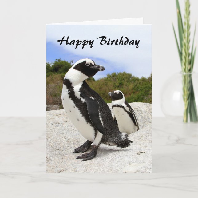 Happy Birthday African Penguins Humour Card (Front)