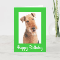 Happy Birthday Airedale Terrier Dog Greeting Card