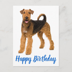 Happy Birthday Airedale Terrier Puppy Dog Blue Postcard