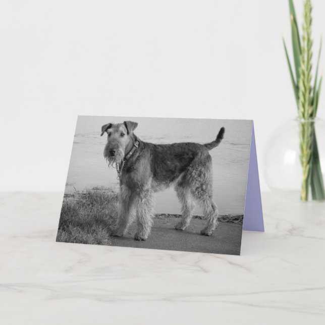 Happy Birthday Airedale Terrier Puppy Dog Card (Front)