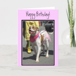 Happy Birthday American Bulldog greeting card