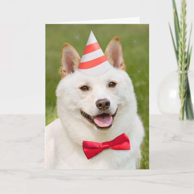 Happy Birthday Anyone Shiba Inu Dog In Party Hat Holiday Card (Front)