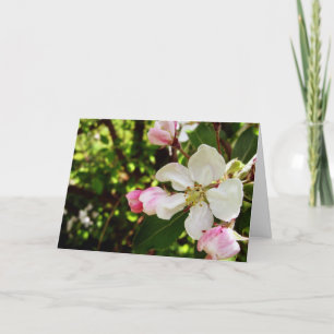 Happy Birthday_Apple-Blossom Card