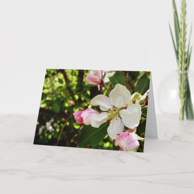 Happy Birthday_Apple-Blossom Card (Front)