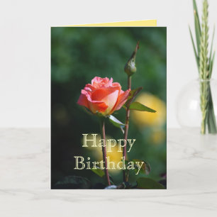 Happy Birthday Apricot and Yellow Rose Card