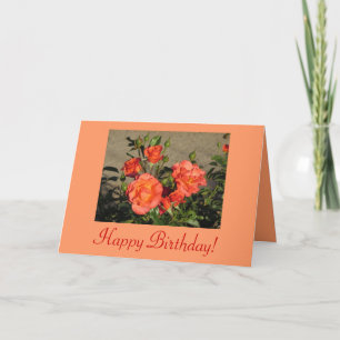 Happy Birthday! Apricot Cathedral Roses Card