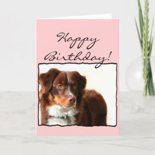 Happy Birthday Australian Shepherd greeting card