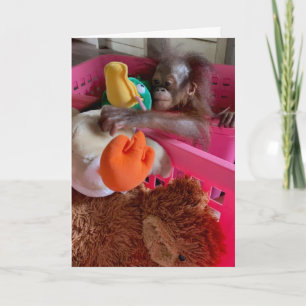 Happy Birthday Baby Orangutan Grabs Toys   Card