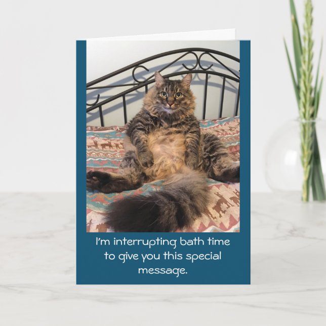 Happy Birthday Bath Time Kimber Cat Card (Front)