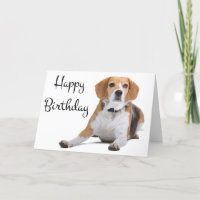 Happy Birthday Beagle Puppy Dog Greeting Card