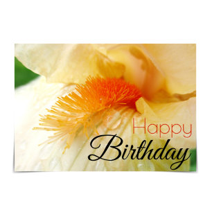 "Happy Birthday" Bearded Iris Card