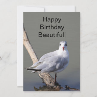 Happy Birthday Beautiful' Pigeon Greeting Card