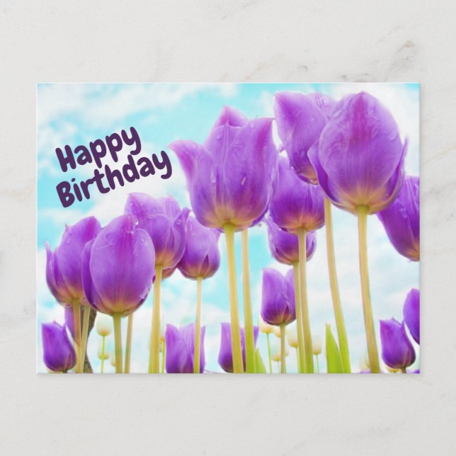 Happy Birthday Beautiful Purple Tulips  Postcard (Front)