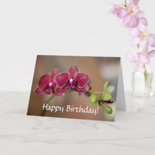 Happy Birthday Beautiful Red Orchid Card