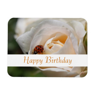 Happy birthday. Beautiful white rose flower Magnet