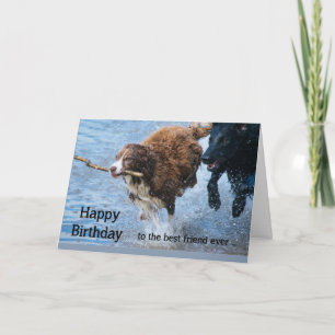 Happy Birthday Best Friend Fun Old & Crazy Dogs Card