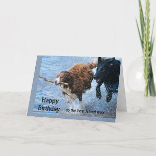 Happy Birthday Best Friend Fun Old & Crazy Dogs Card