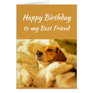 Happy Birthday Best Friend Real Age Humour Fun Dog