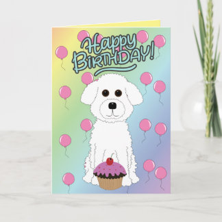 Happy Birthday Bichon Frise  Card