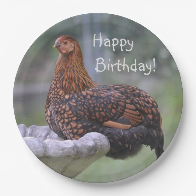Happy Birthday Birdbath Chicken Paper Plate (Front)