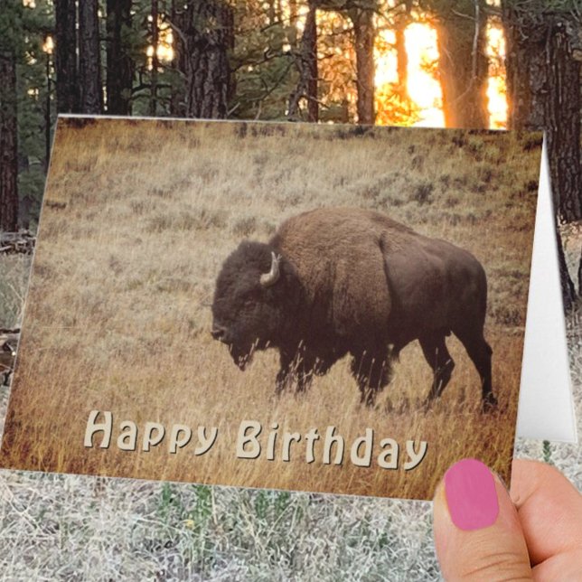 Happy Birthday Bison Photograph Template (Creator Uploaded)