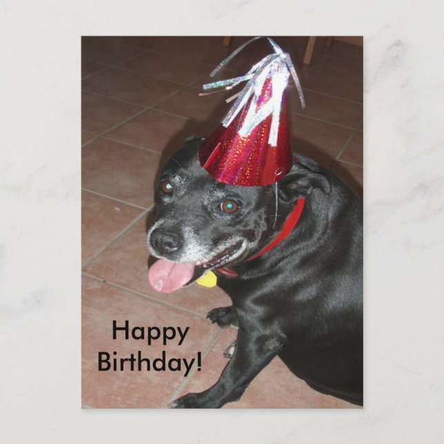 Happy Birthday Black Dog with Red Hat Postcard (Front)
