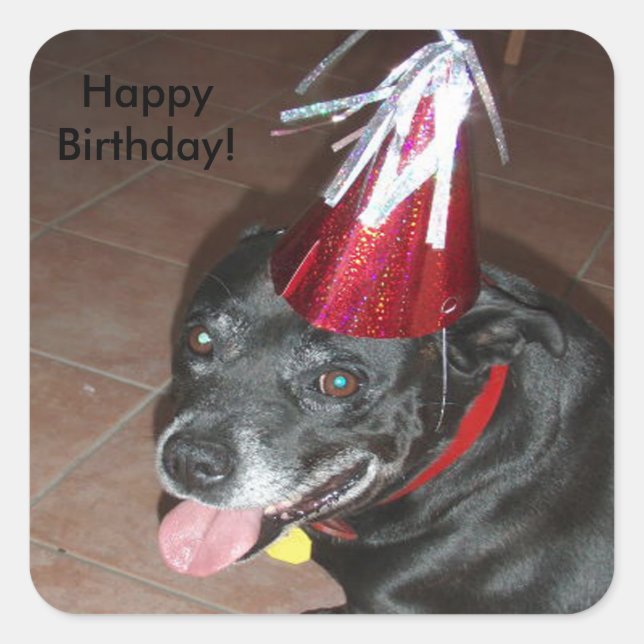 Happy Birthday Black Dog with Red Hat Square Sticker (Front)