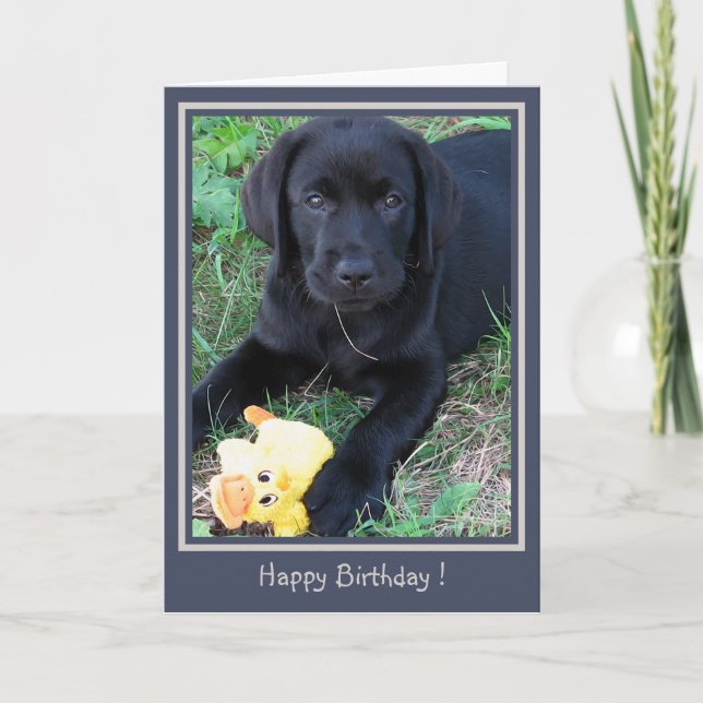 Happy Birthday Black Lab Cute Puppy Duck Dog Card (Front)