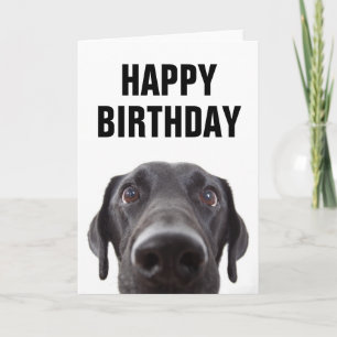 Happy Birthday   Black Labrador Card