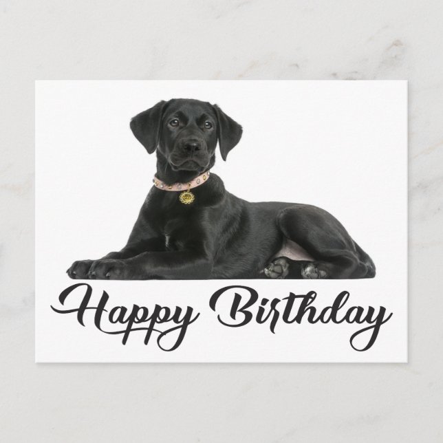 Happy Birthday Black Labrador Retriever Puppy Dog Postcard (Front)