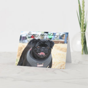 Happy Birthday Black Pug greeting card