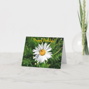 Happy Birthday, Blank Daisy Card